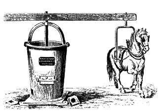 horse.JPG