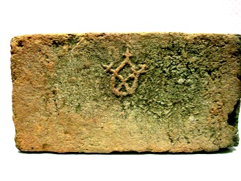 DSCF7915.jpg