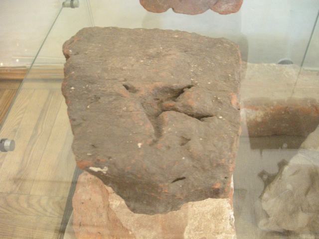 DSCN1847.jpg