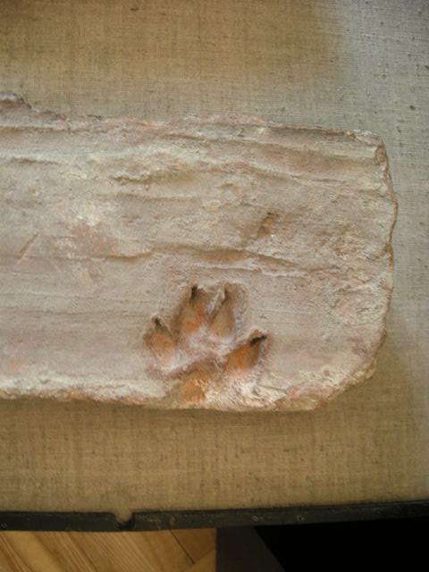 DSCN1851.jpg