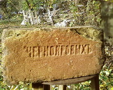 SP_A0430.jpg