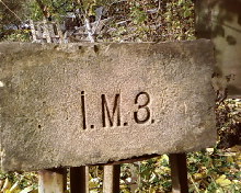 SP_A0431.jpg