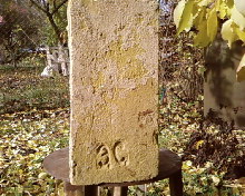 SP_A0432.jpg