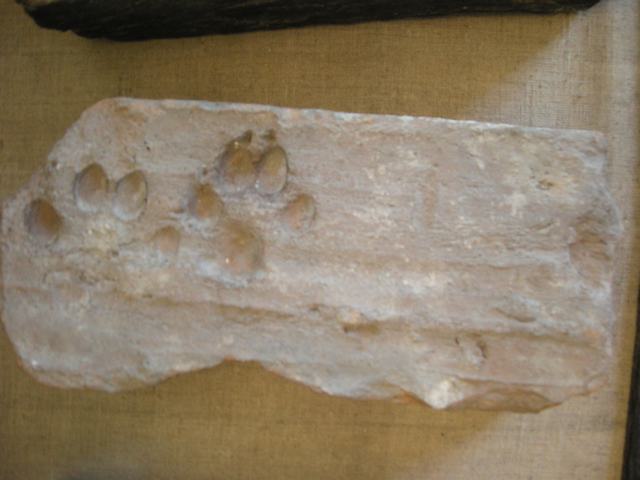 DSCN1855.jpg
