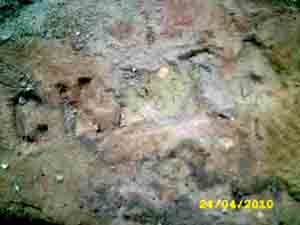 JD502309.jpg