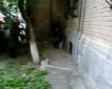 SP_A0531.jpg