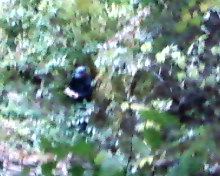 SP_A0534.jpg