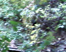 SP_A0533.jpg