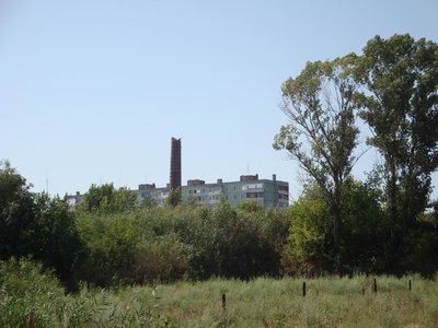 Изменение размера DSC01333.JPG