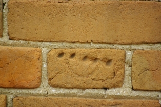 IMGP8258.JPG