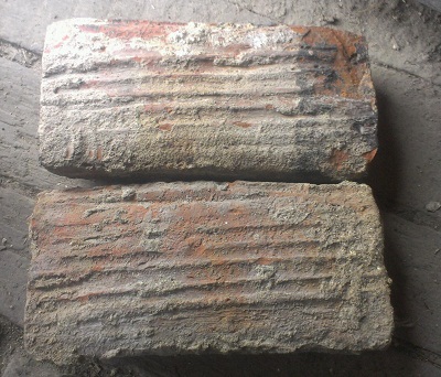 IMAG0448-1.jpg